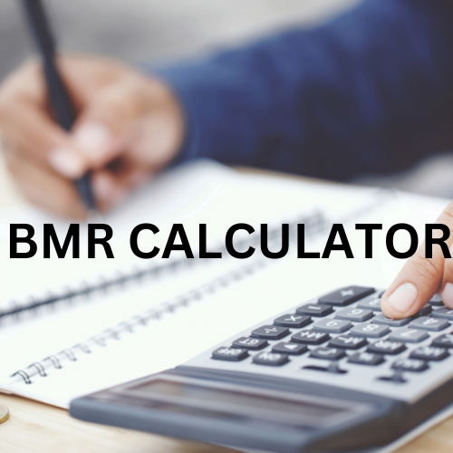 BMR calculator online free tool seotoolai, seotoolai.com